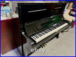 Yamaha U2- Premium Upright, 7-Year Guarantee, Showroom Condition! 50'