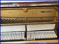 Yamaha Upright Piano U3 EUC